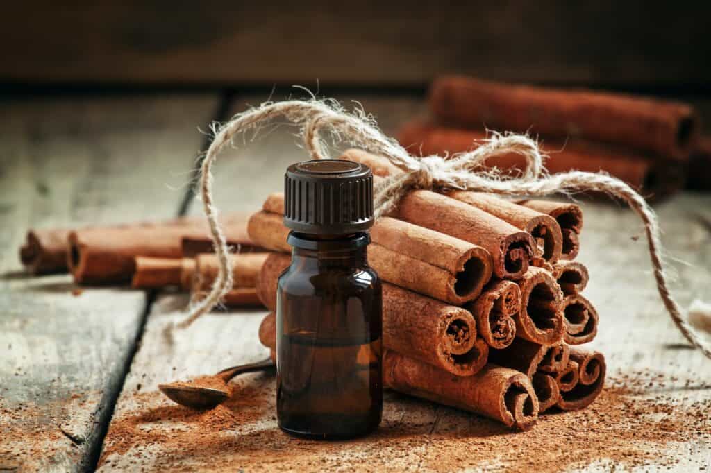 Essential cinnamon oil in a small bottle