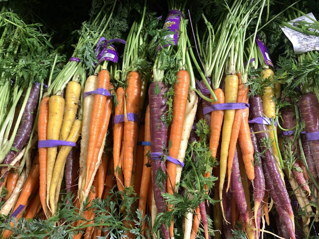 Fresh organic picked carrots at market for sale. Root vegetables for healthy eating
