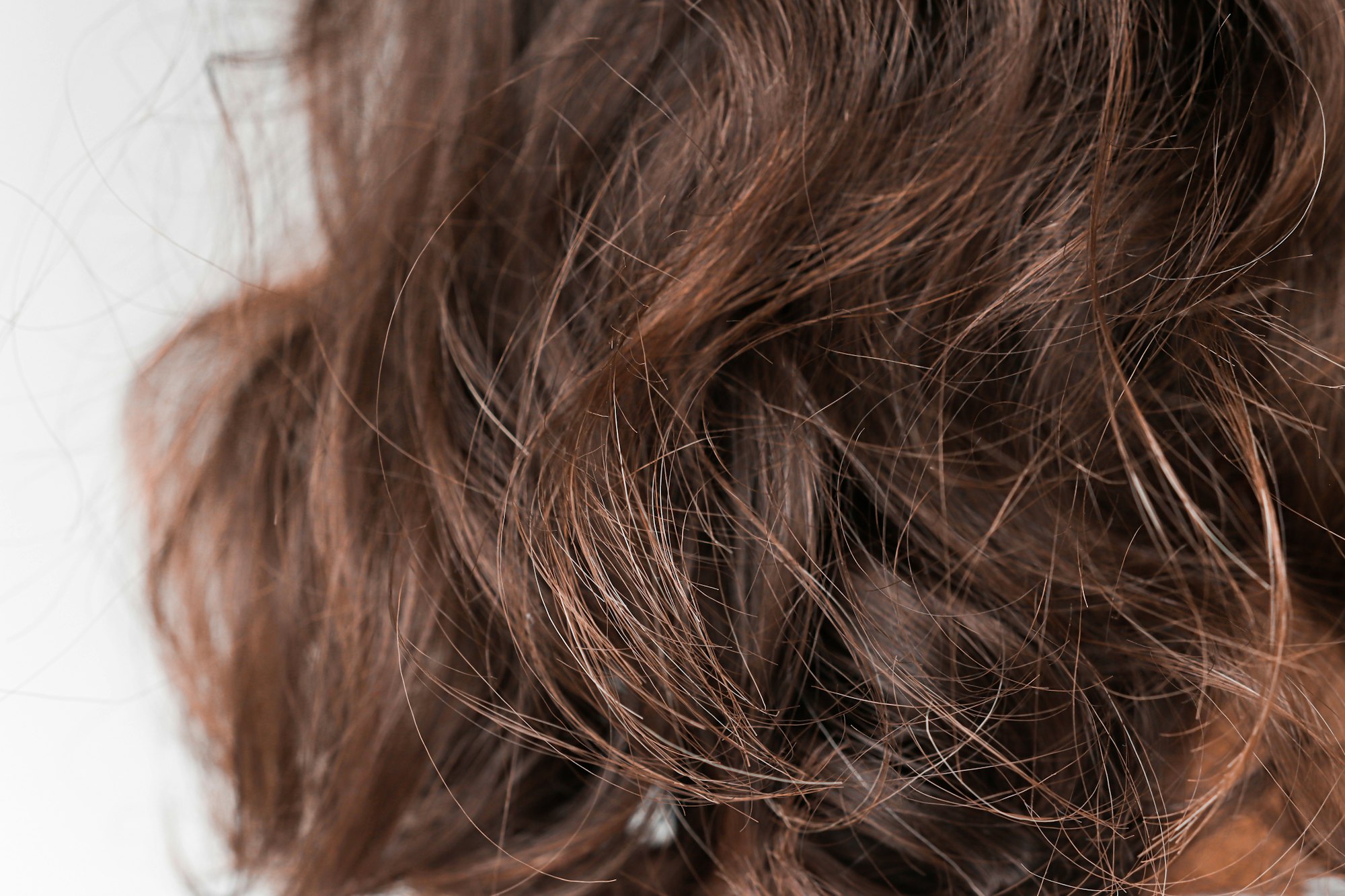 Close up of curly hair of a brunette woman.